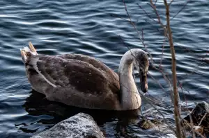 Práce Ve Stavebnictví