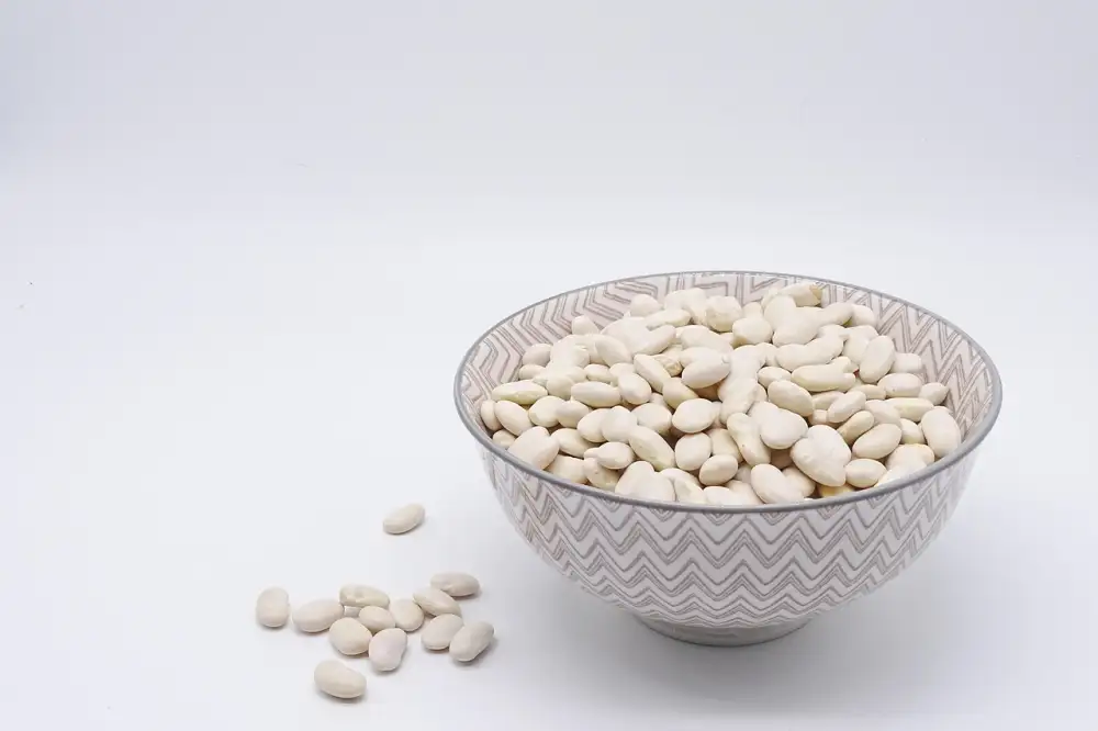 Whey Protein Nutrend